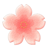 Cherry-Blossom Rug DIY Recipe