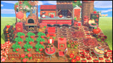 Tomato Farm