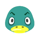 Pato