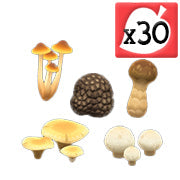 All Mushroom Pack X30