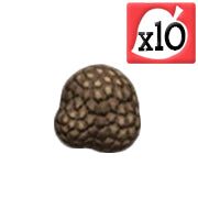 Rare Mushroom x10