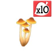 Skinny Mushroom x10